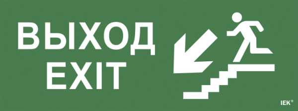 Этикетка самокл. 350х130мм &amp;amp;quot;Выход/лестница вниз/фигура&amp;amp;quot; LPC10-1-35-13-VLVNF
