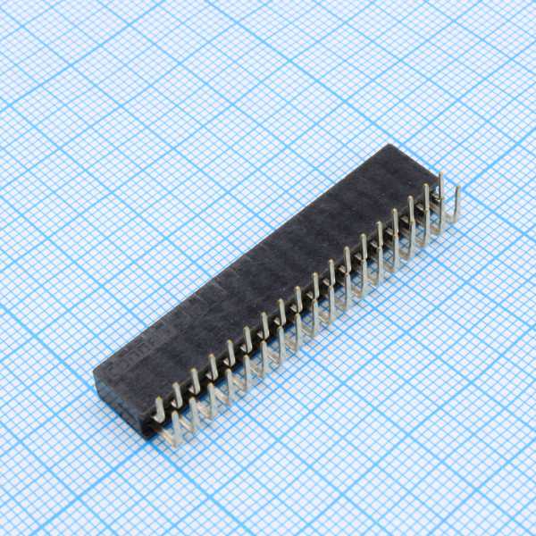 DS1024-2X18R2