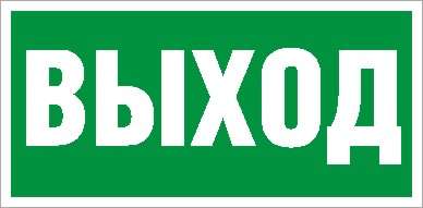 Пиктограмма &amp;amp;quot;Выход&amp;amp;quot; ПЭУ 010 130х260 СТ 2502000270