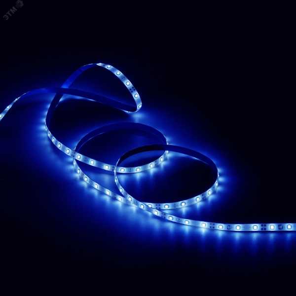 Лента LED Elementary 2835/60-SMD 4.8W 12V DC синий IP66 (ZIP Bag 5м) 356000505