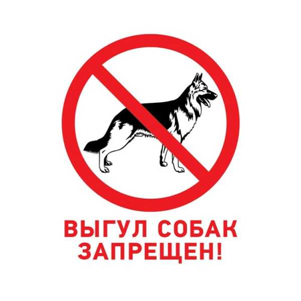 Табличка ПВХ запрещающий знак «Выгул собак запрещен» 200х200 мм 56-0039-2