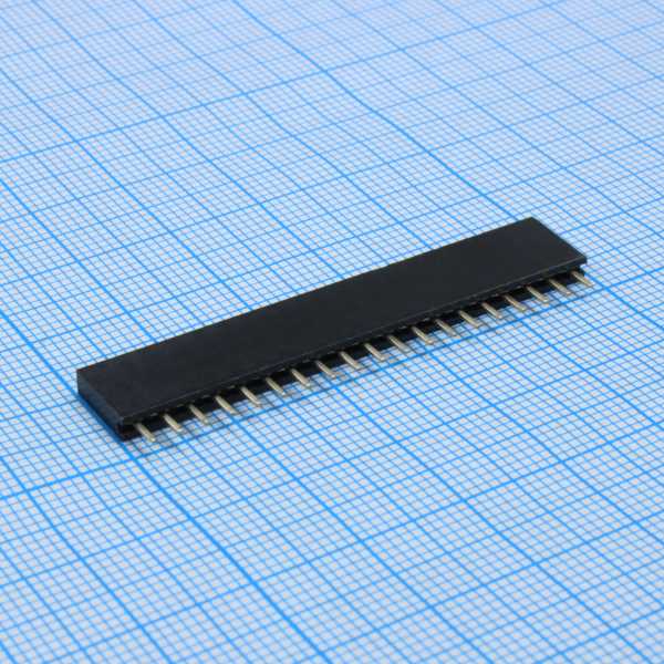 DS1023-1x19SF11