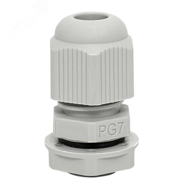 Сальник PG7 IP54 plc-pg-7