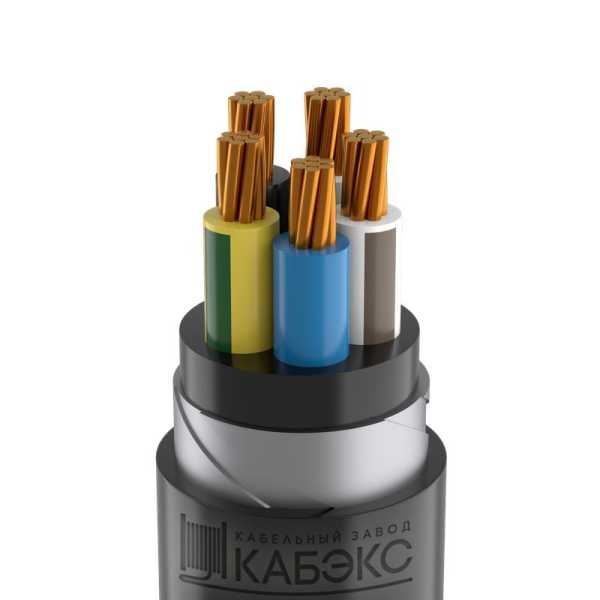 Кабель ВБШвнг(А)-LS 5х50 МК (N PE) 0.66кВ (м) ТХМ00213802