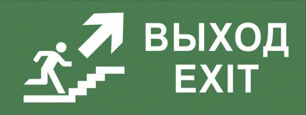 Самоклеящаяся этикетка INFO-DBA-014 200х60мм &amp;amp;quot;Выход/лестница вверх/фигура&amp;amp;quot; DPA/DBA Б0048466